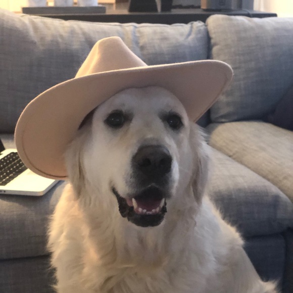 Meet me! ❣️🥂🐶👱🏼‍♀️🎉 - Picture 6 of 7